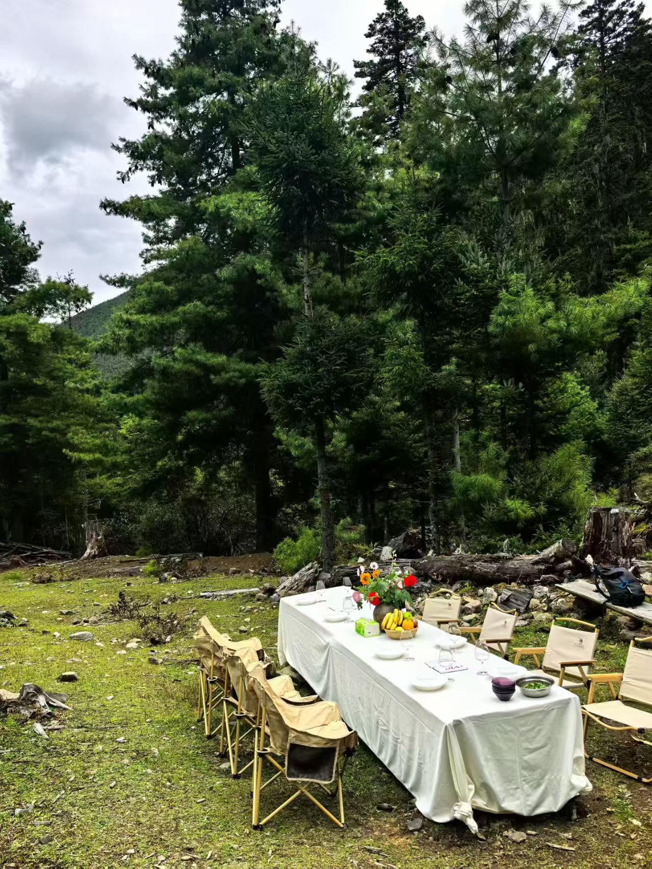 Landscape Exploration