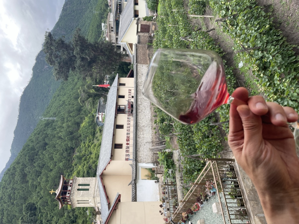 Vineyard with Mountain Backdrop