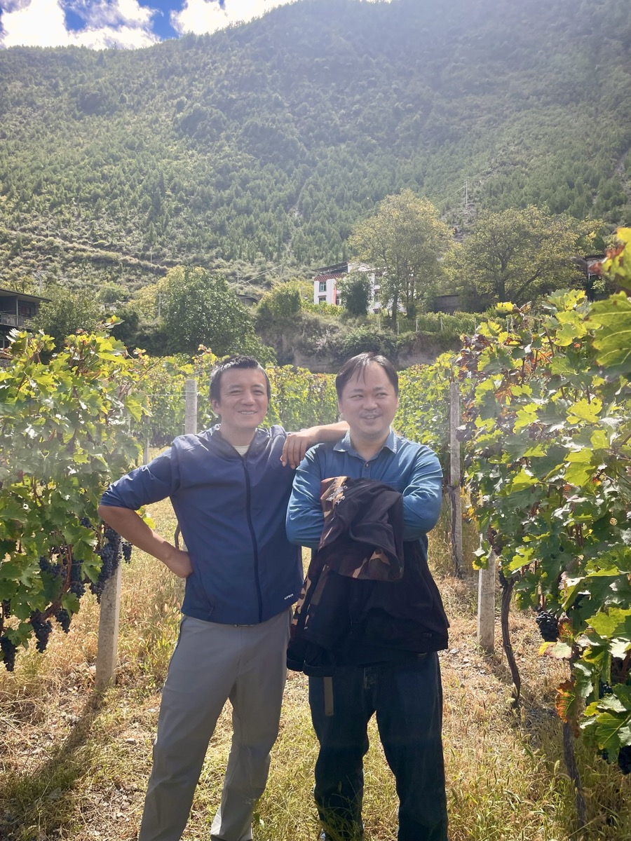Prayer Flags & Mountains