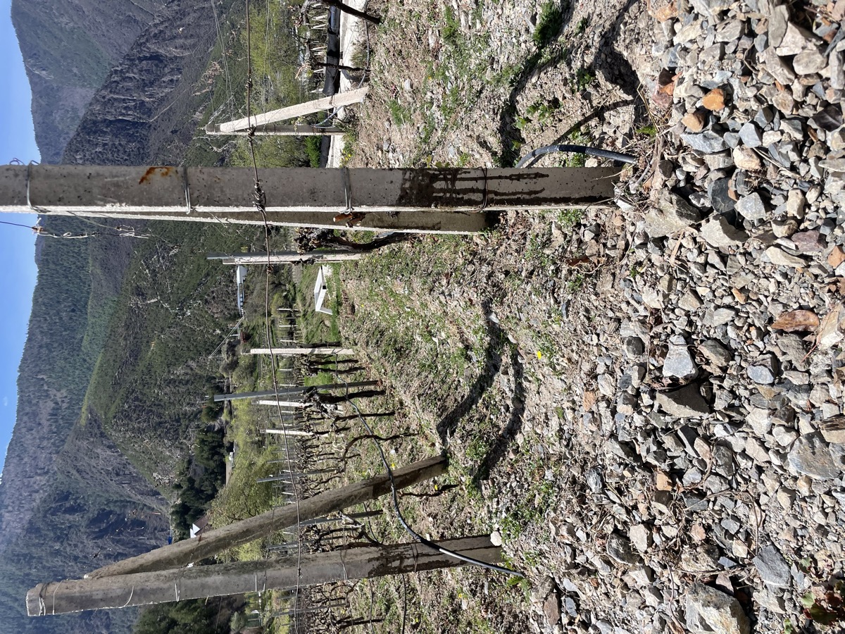 Glacier River Valley